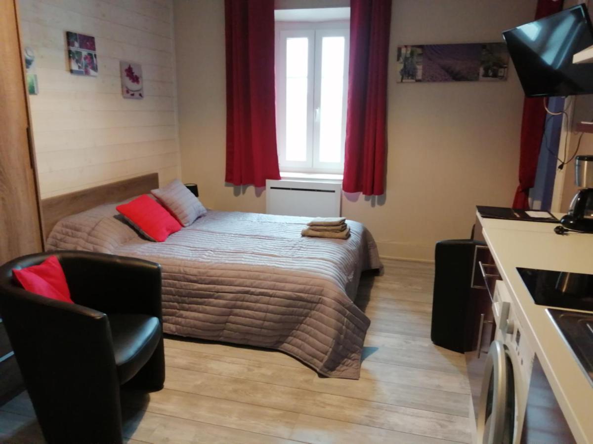 Joli Studio Dans Un Ancien Hotel Du XIX Siecle - Proche Toutes Commodites - Thermes Et Parc Vittel Exteriér fotografie